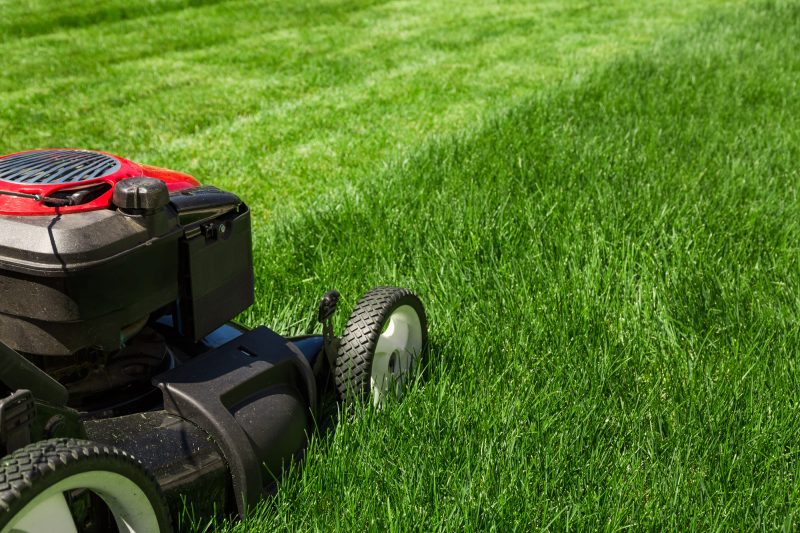 Simple Habits That Make Your Grass Greener And Healthier